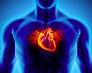 Volta Medical : L’IA au service du traitement de la fibrillation cardiaque