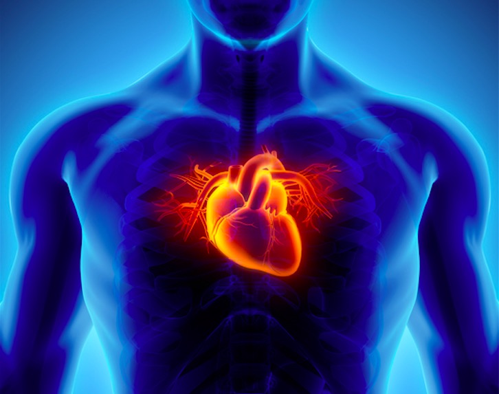 Volta Medical : L’IA au service du traitement de la fibrillation cardiaque